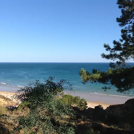 Sailing Açoteias Appartamento *