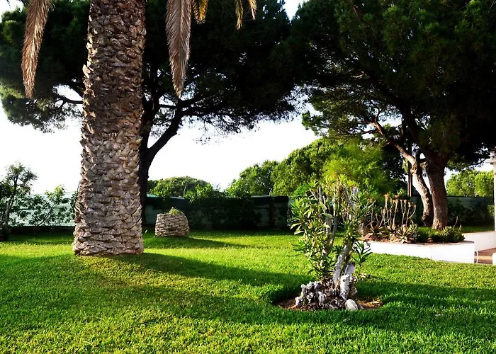 Sailing Studio Acoteias