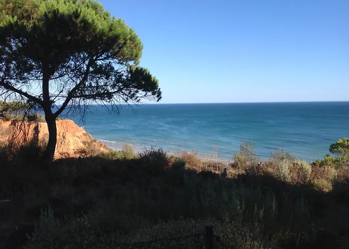 Sailing Studio Acoteias *